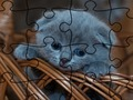 Игра Пъзел: Котки  онлайн