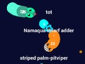 Игра Curvz. IO  онлайн