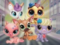 Игра Little Pet Shop: Криеница  онлайн