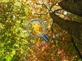 Игра Скрити златни звезди  онлайн