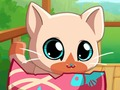 Игра Моето Pocket домашни котешка котка  онлайн