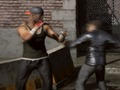 Игра Raging Punch 3D онлайн