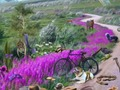 Игра Изчезваща следа  онлайн
