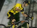 Игра MTB Pro Racer онлайн
