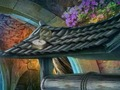 Игра Студено злато  онлайн