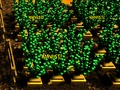 Игра Pixel Farm онлайн