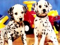 Игра Puppy Pairs Пъзел  онлайн
