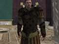 Игра Партийски воин  онлайн