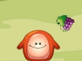 Игра Капка храна Chaki  онлайн