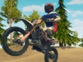Игра Dirt Bike Enduro Racing онлайн