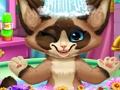 Игра Коте коте  онлайн