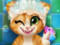 Игра Баня с ръждиво коте  онлайн