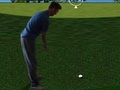 Игра Flash Golf 3D  онлайн