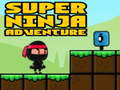 Игра Супер приключенска нинджа  онлайн