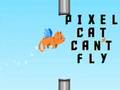 Игра Котката Pixel не може да лети  онлайн