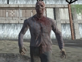 Игра Dark Forest Zombie Survival FPS онлайн