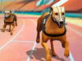 Игра Кучета 3D състезания  онлайн