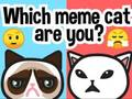 Игра Коя мем котка си ти?  онлайн