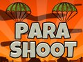 Игра Пара стрелба  онлайн