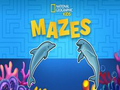 Игра Nat Geo Kids Mazes онлайн