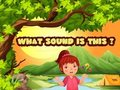 Игра Какъв звук е това?  онлайн