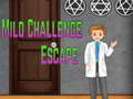 Игра Amgel Mild Challenge Escape онлайн