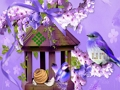 Игра Прекрасно бягство от земята на колибри  онлайн