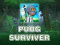 Игра PUBG Survivor  онлайн