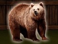 Игра Спасете мечката Гризли  онлайн