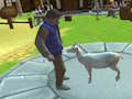 Игра Симулатор на Crazy Goat  онлайн