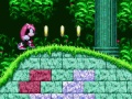 Игра Mighty & Ray в Sonic 2  онлайн
