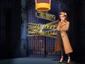 Игра Пин детектив  онлайн