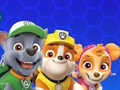 Игра Paw Patrol онлайн