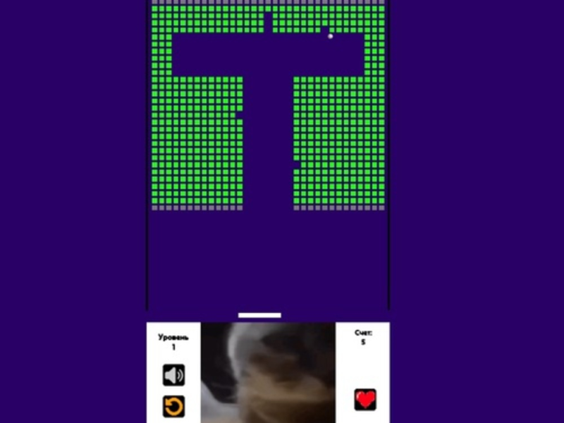 Игра Разбивач на тухли Chipi Chipi Chapa Chapa Cat  онлайн