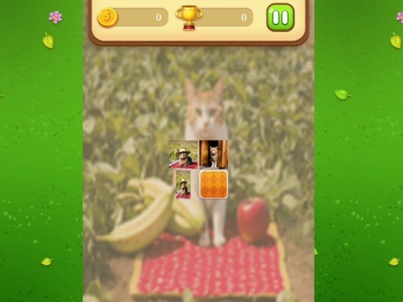 Игра Farm Cat: Мач на паметта онлайн